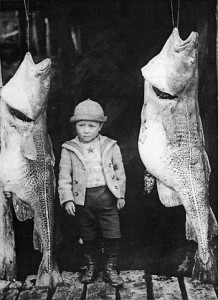 Atlantic cod fishing in the 1500s